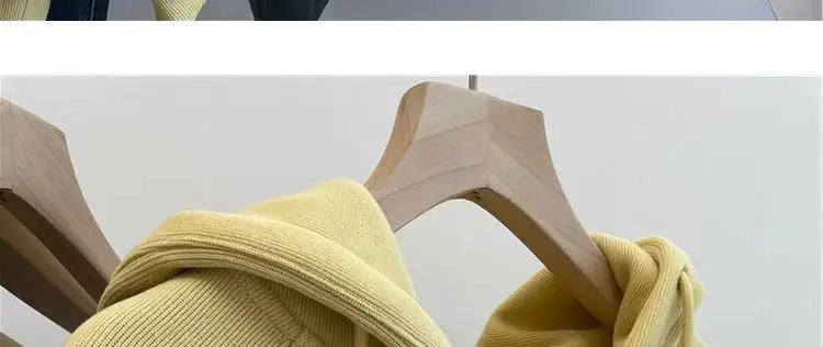 Designed embroidered squirrel hooded sweatshirt for women in spring and autumn loose and versatile American style lazy jacket Street King Limited