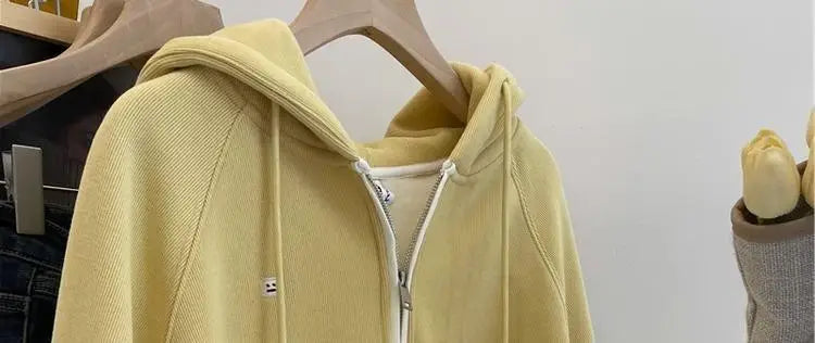 Designed embroidered squirrel hooded sweatshirt for women in spring and autumn loose and versatile American style lazy jacket Street King Limited